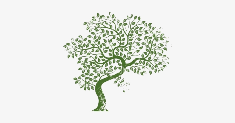 Luxury Tree With Transparent Background 1000 Images - Tree-free Greetings Eco-notes Thank You Card Set, 4, transparent png #4136457