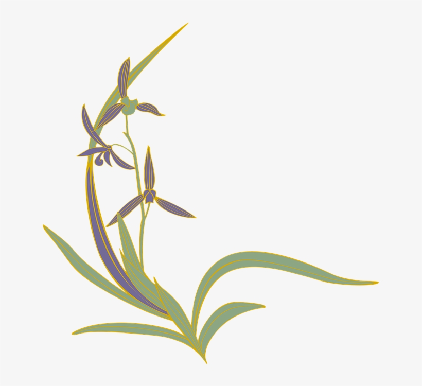 Orchid, Oriental Orchid, Flowers, Japanese Style - Orchid In Japanese, transparent png #4136681