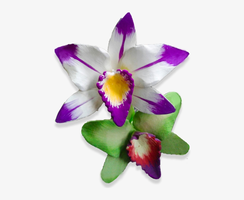 Wooden Orchid Flower - Orchids, transparent png #4136701