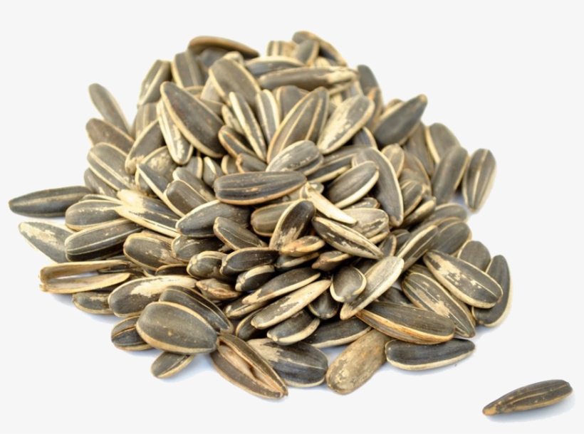 Sunflower Seeds Png Picture - Sunflower Seeds, transparent png #4136931