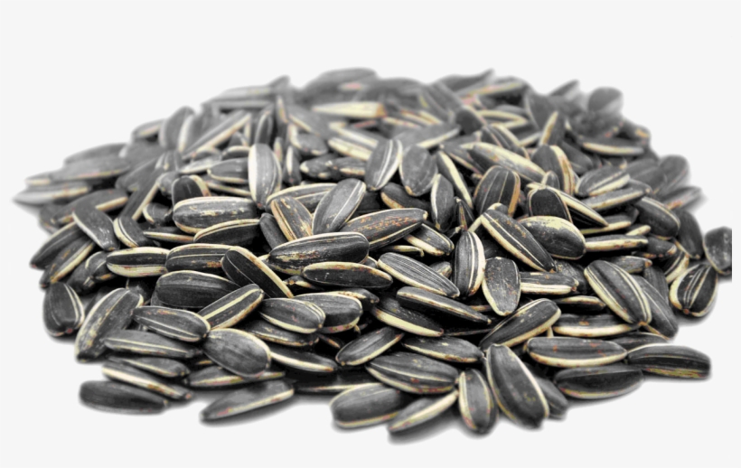 Sunflower Seeds Resolution - Sunflower Seeds Calories, transparent png #4136982