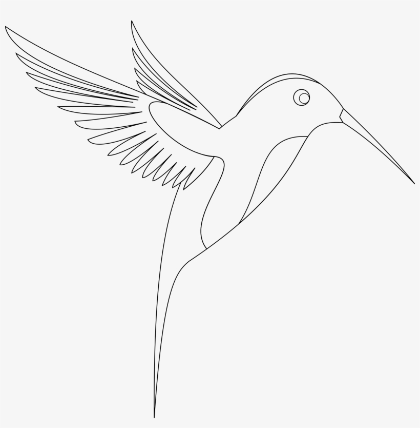 Big Image - Line Art Of Birds, transparent png #4137005