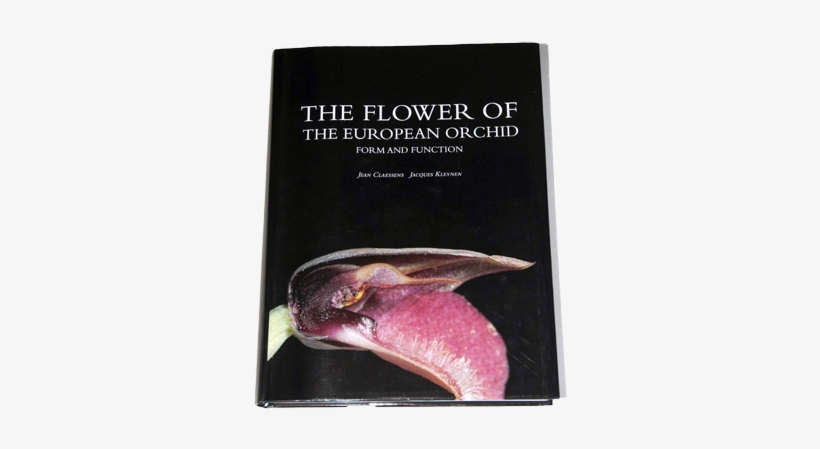 "the Flower Of The European Orchid - Flower Of The European Orchid: Form, transparent png #4137106