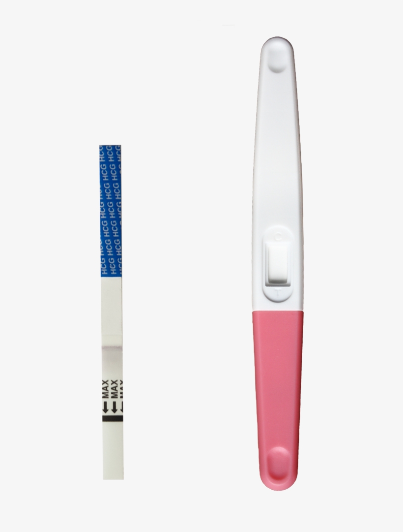 The Gallery For > First Response Positive Pregnancy - 2 Euro Shop Pregnancy Test, transparent png #4137176
