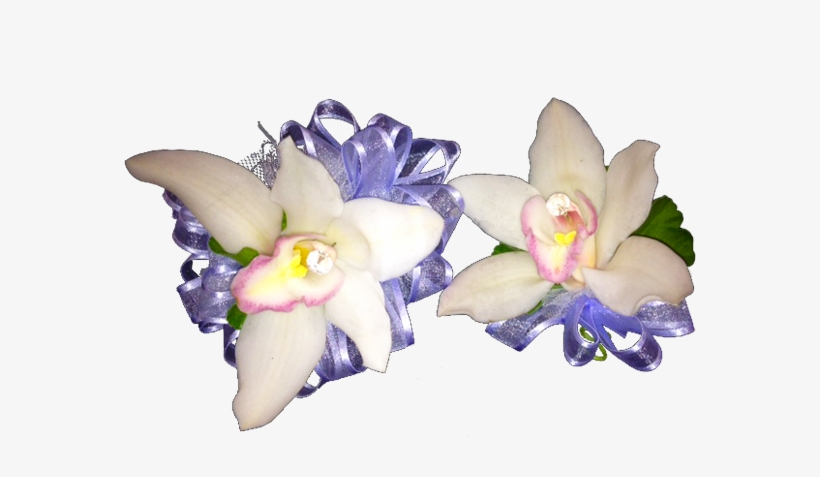 Simple Orchids - Artificial Flower, transparent png #4137221