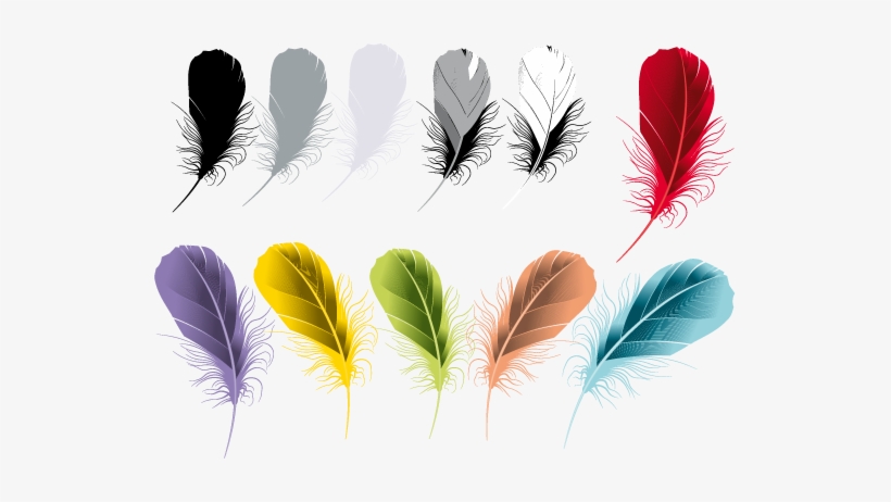 Las Plumas Son Estructuras Queratinosas De La Piel - Feather Vector, transparent png #4137651