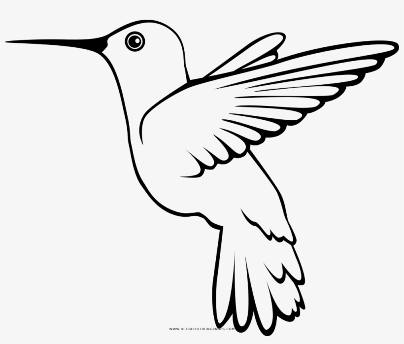 Dibujo De Colibr Para Colorear Ultra Coloring Pages - Dibujo De Un Colibri Para Colorear, transparent png #4137925