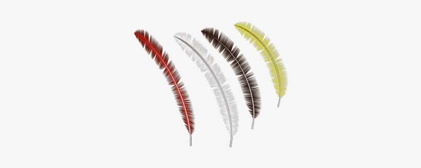 Colección De Plumas - Feather, transparent png #4138114
