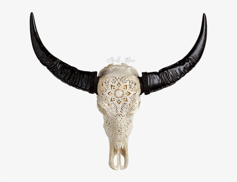 Carved Buffalo Skull - Skull, transparent png #4138188