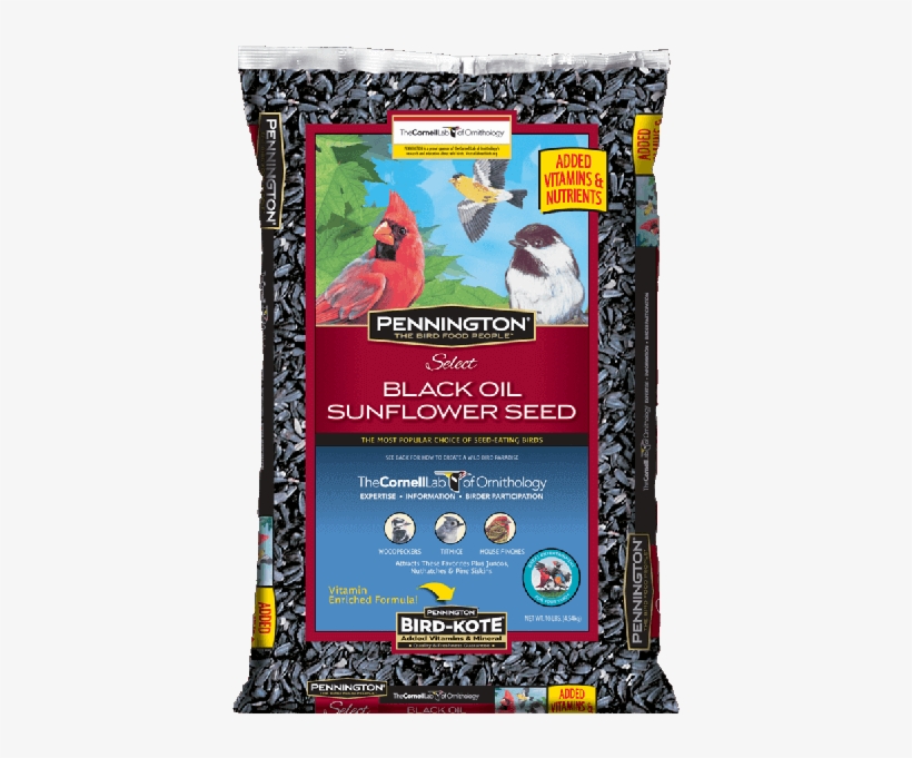Pennington Select Black Oil Sunflower Seed Wild Bird, transparent png #4138268