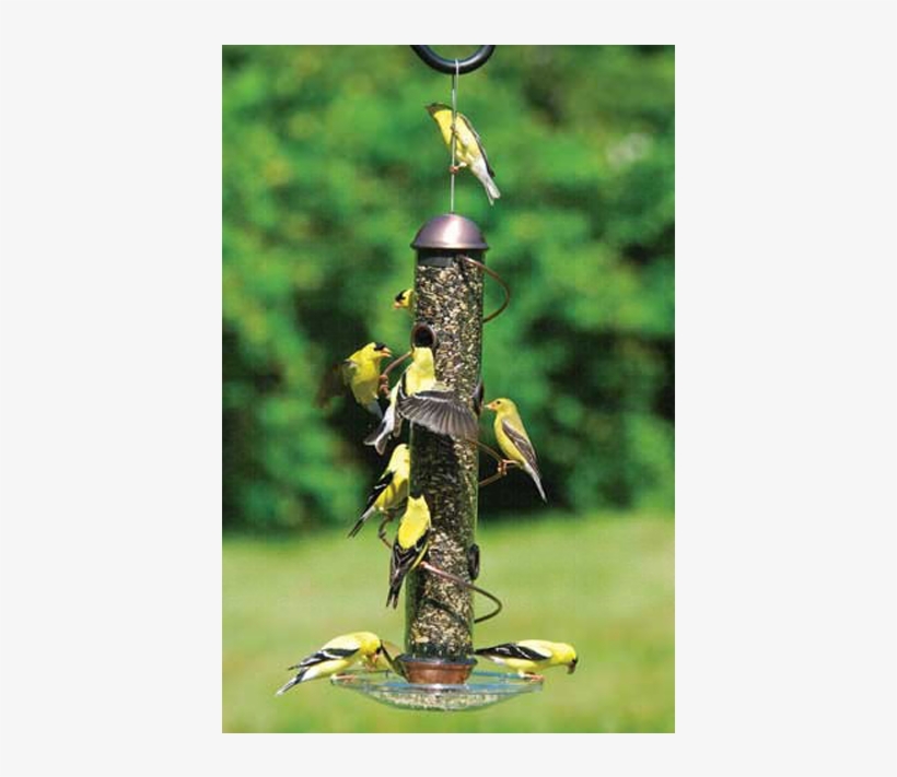 Image - 17 Inch Copper Spiral Sunflower Feeder, transparent png #4138319