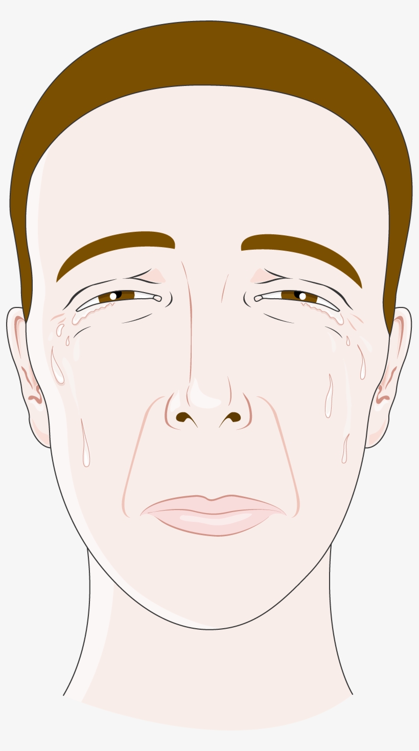 Download The Image Download The Entire Set - Illustration, transparent png #4138470