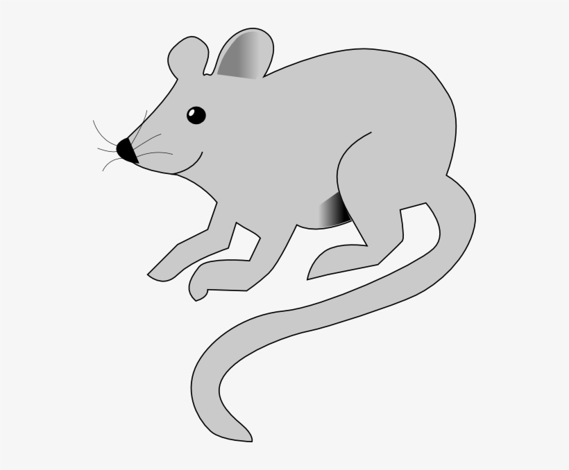 Cute Gray Mouse - Rat Animation, transparent png #4138667
