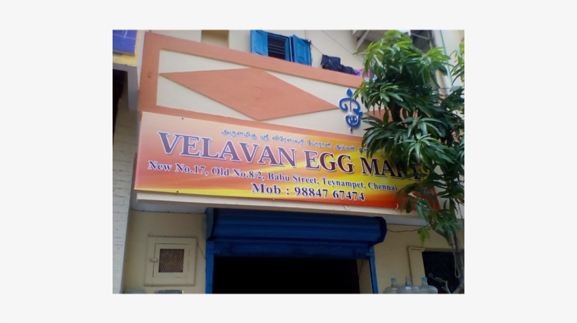 White Egg - Velavan Egg Mart, transparent png #4139675