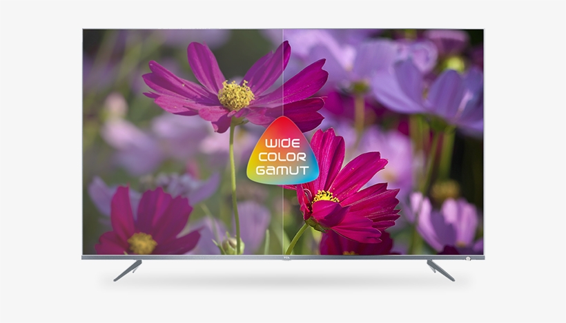Picture Quality Wide Color Gamut - Tcl P66 Series Dp660, transparent png #4140297