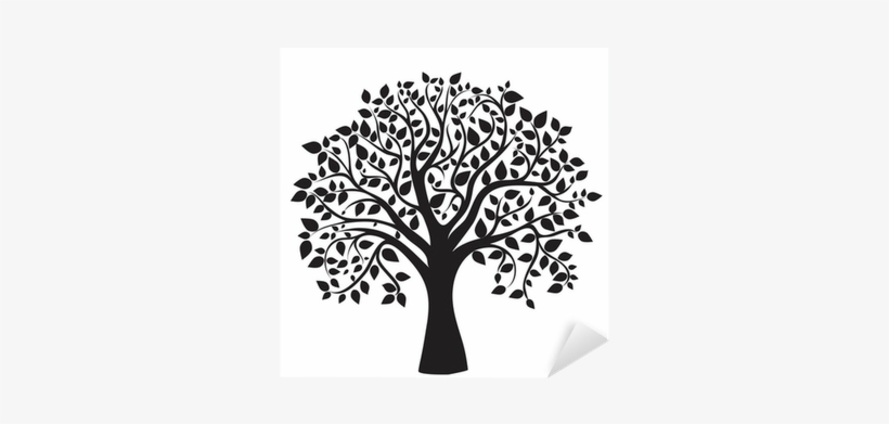 White Tree Silhouette Png Black Tree Silhouette Isolated - Sociology: The Basics [book], transparent png #4140559