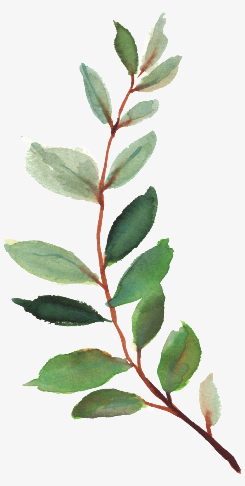 Watercolor Vector - Moderne Botanischer Garten-hochzeits-einladung Karte, transparent png #4141488