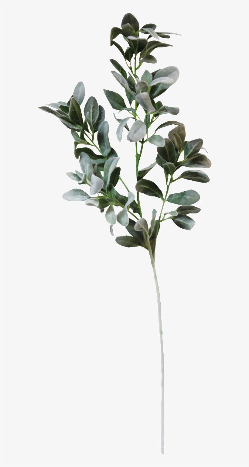 Snow Green Flower Branch Cartoon Transparent - Woodland Animals Wedding Invitations, transparent png #4143010