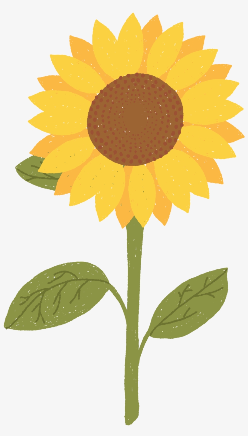 Paperdayprintables Fall-17 - Vector Graphics, transparent png #4144110