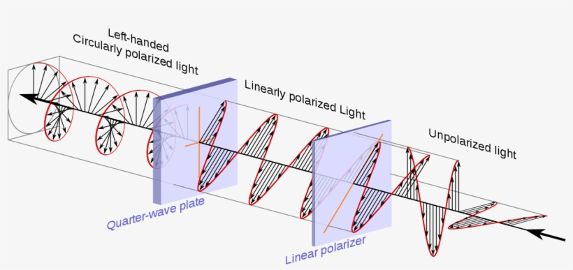 Circular Polarization, transparent png #4144440