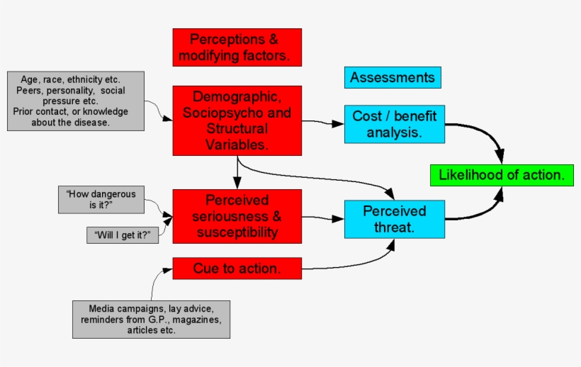 Healthbeliefmodel - Health Seeking Behaviour Model, transparent png #4146574