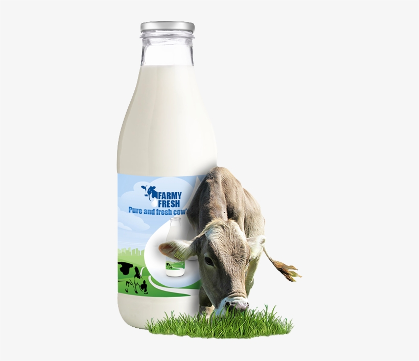 Studies Have Linked The Consumption Of Milk Contaminated - Fresh Cow Milk Png, transparent png #4147707