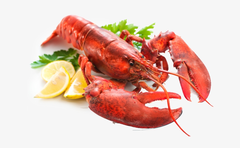 Lobster Png, transparent png #4148048