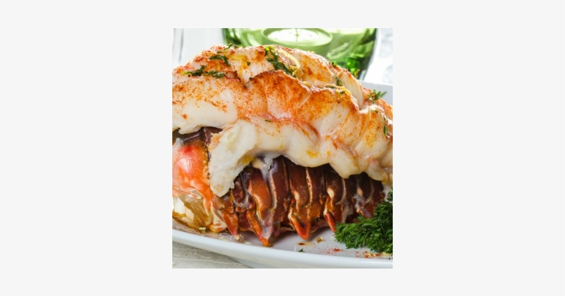 Lobster-tails - Harbour House Crabs, transparent png #4148194