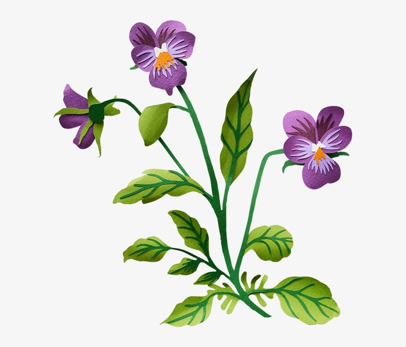 Pansy - Pansy Transparent Background, transparent png #4148258