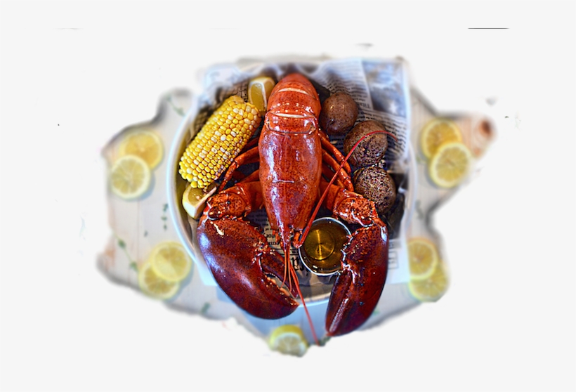 Station House Lobster Dinner In Palm Beach County - Insect, transparent png #4148334
