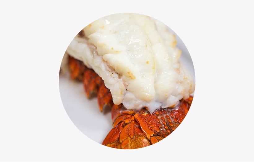 Cold Water Lobster Tail - Christner's Prime Steak & Lobster, transparent png #4148381