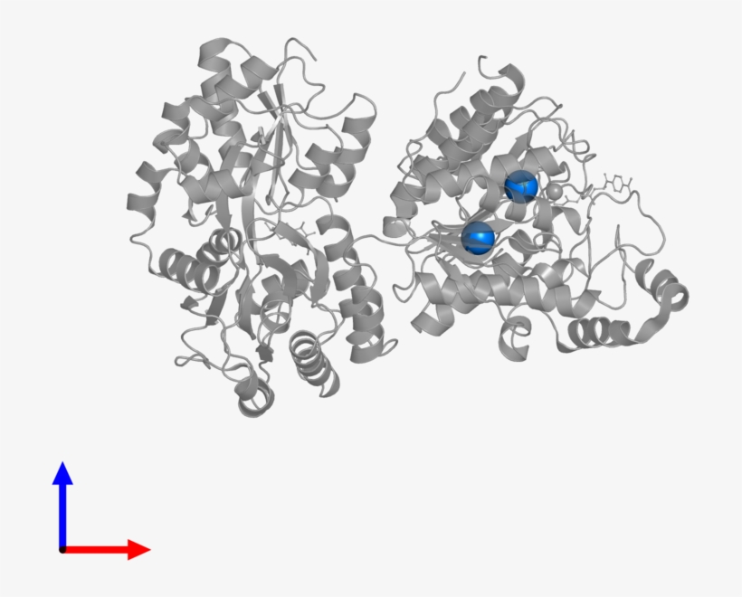 <div Class='caption-body'>pdb Entry 5edu Contains 2 - Earrings, transparent png #4148469