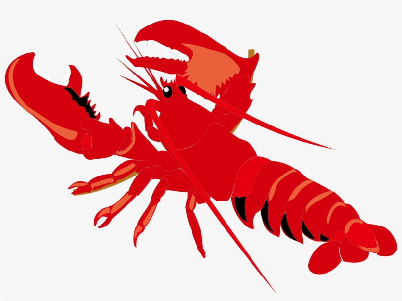 Dish Free On Dumielauxepices Net - Maine Lobster Wall Calendar, transparent png #4148603