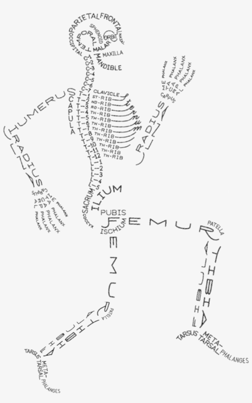 Esqueleto - Skeleton Aaron Kuehn, transparent png #4148915