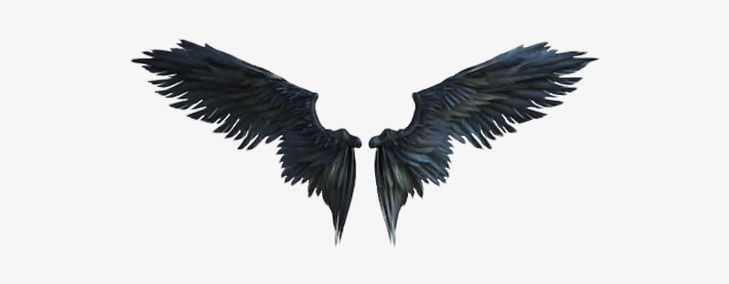 Raven Crow Wings Freetoedit 悪魔 の 翼 イラスト Free Transparent Png Download Pngkey