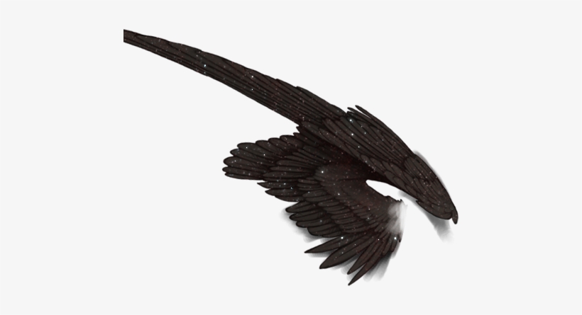 Bald Eagle, transparent png #4149130