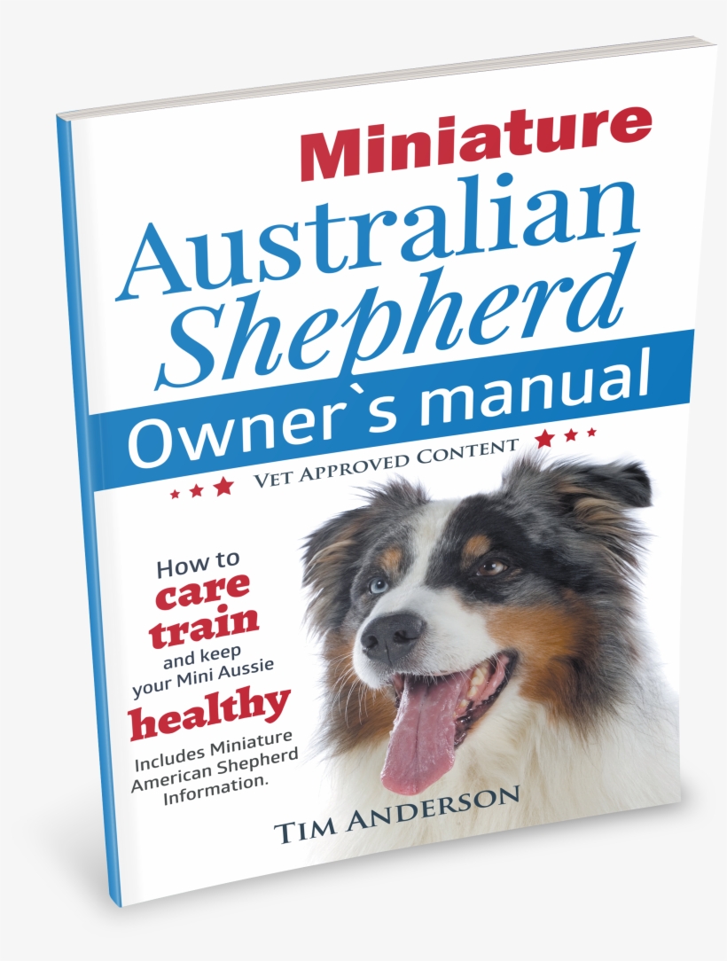 Miniature Australian Shepherd Owner's Manual - Miniature Australian Shepherd Owner's Manual. How To, transparent png #4150333