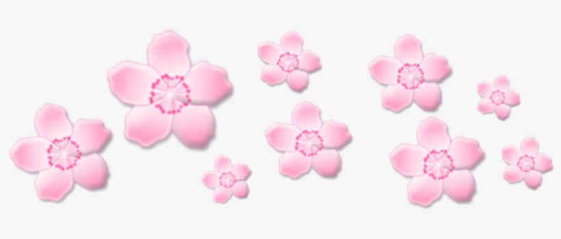 Pink Flower Aesthetic Png, transparent png #4150336