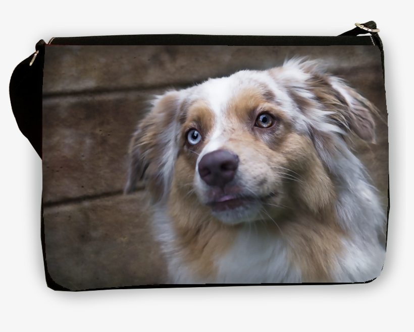 Australian Shepherd, Shoulderbag Large - Australian Shepherd, transparent png #4150573