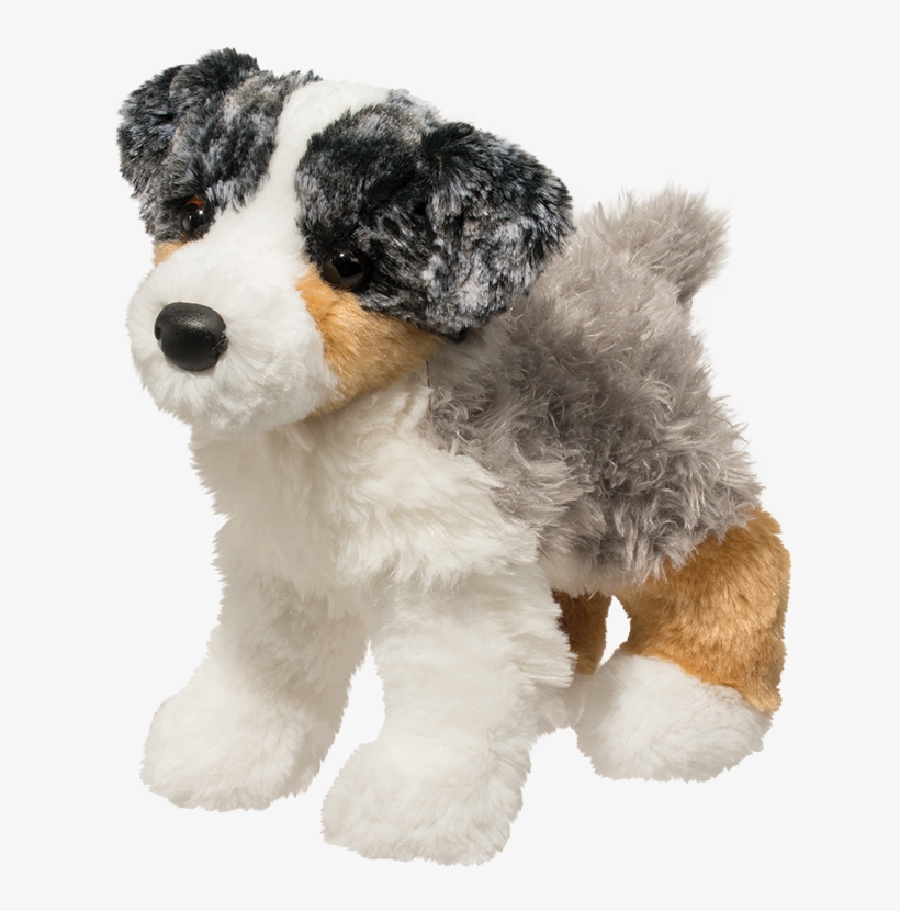 Douglas Blitz Australian Shepherd, transparent png #4150883