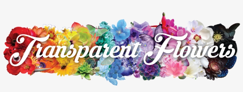 Banner Transparent Bouquet Transparent Flower Tumblr - Transparent Row Of Flowers, transparent png #4150884