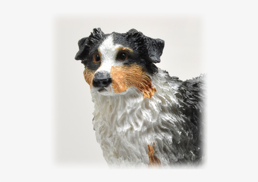 Wholesale Australian Shepherd With Wood Urn Detail - Australian Shepherd, transparent png #4150953