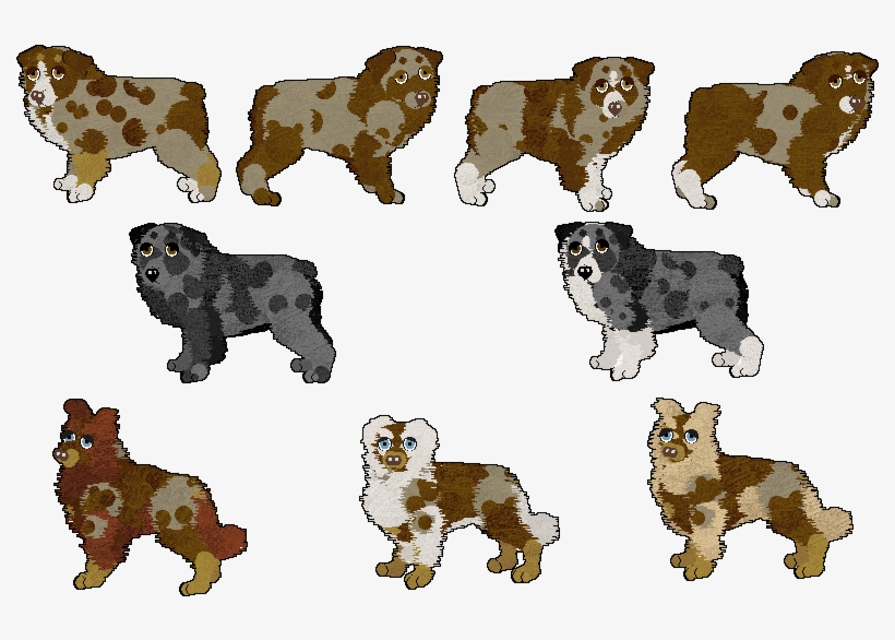 Image From Rydersaussies - Ancient Dog Breeds, transparent png #4151078