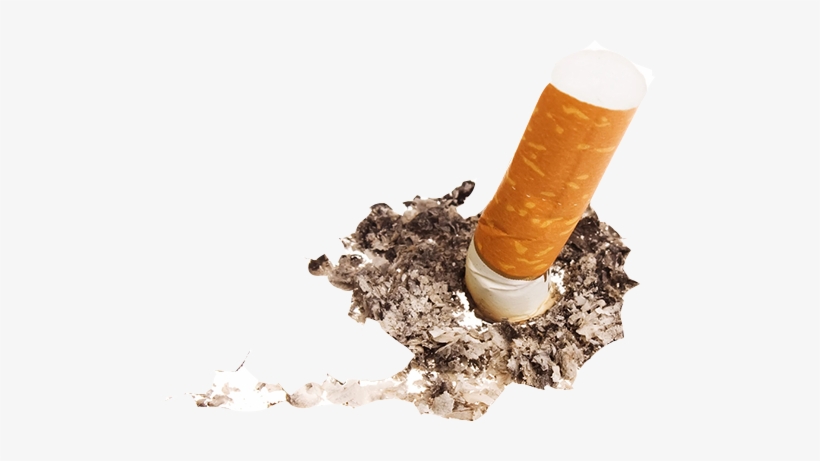 Nicotine-testing - Helmut Schmidt Erklärt Die Welt [book], transparent png #4151170