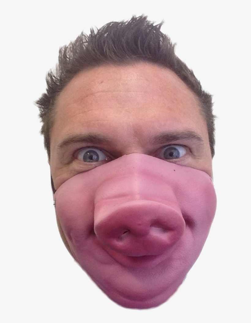 Pig Mask Half Face Mask Mask Free Transparent Png Download - roblox piggy face mask