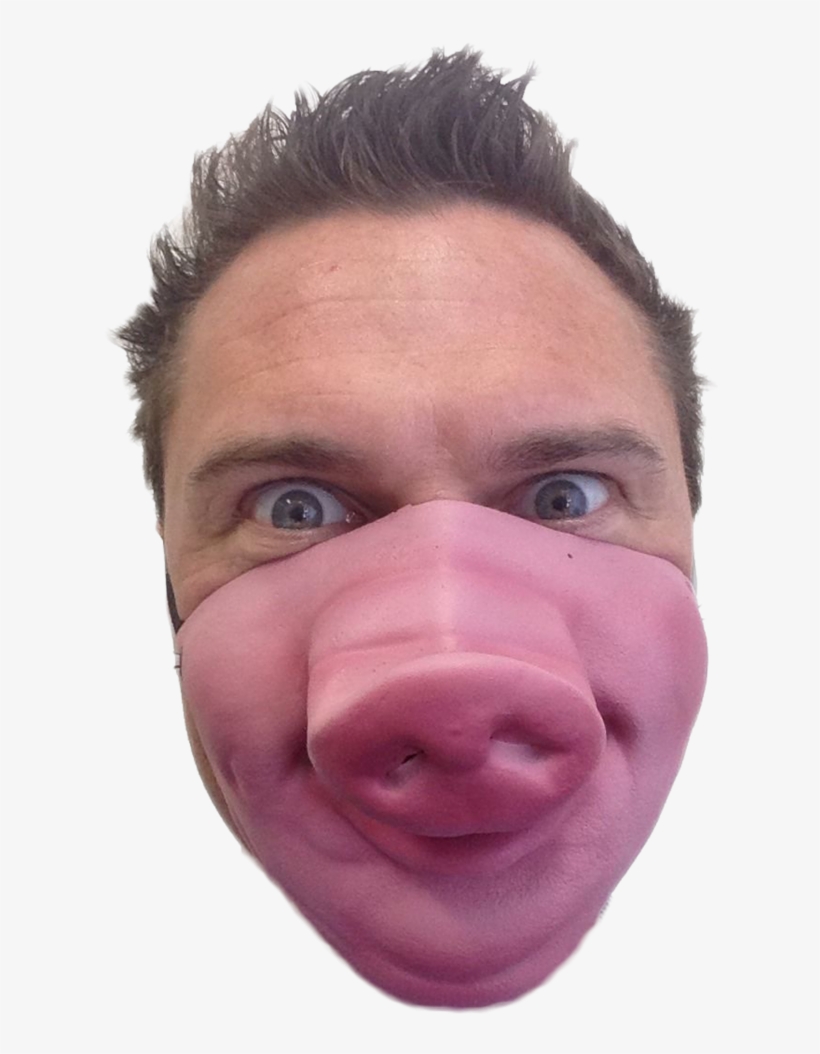 Pig Mask Half Face Mask - Mask, transparent png #4151614