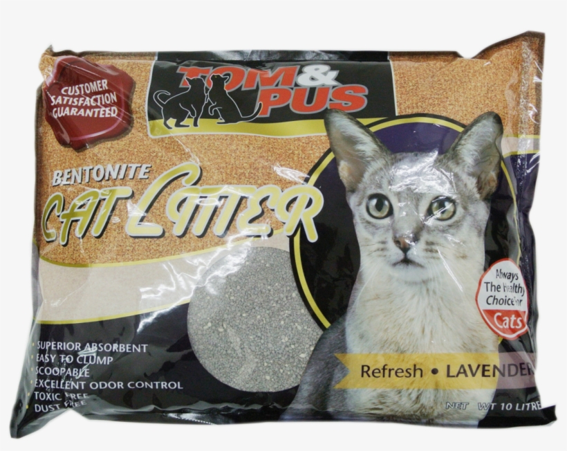 More Views - Litter Box, transparent png #4151664