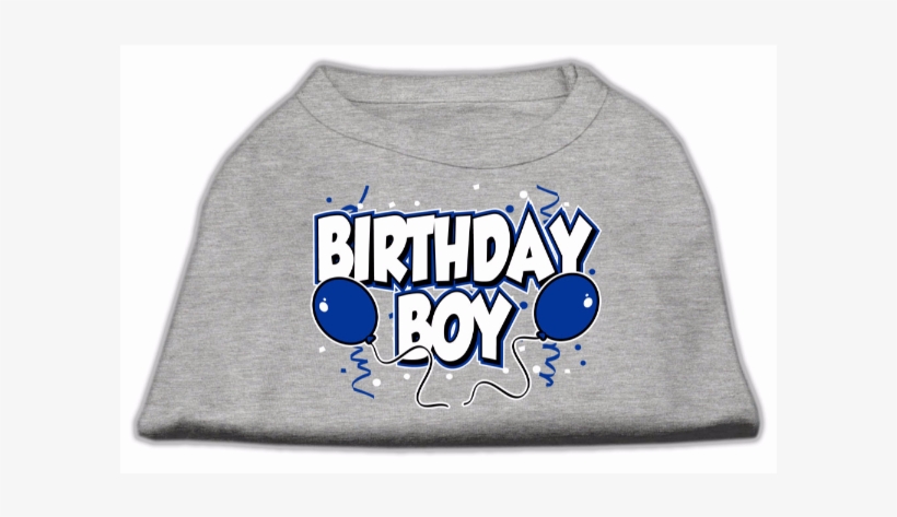 Birthday Boy Screen Print Shirts Grey - Mirage Pet Products 10-inch Birthday Boy Screen Print, transparent png #4152329