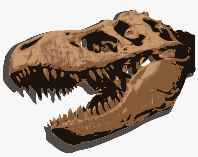 Open - Tyrannosaurus Rex, transparent png #4152440