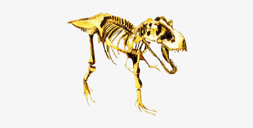 Histologic Analysis Of Tyrannosaurus Rex Bones Showed - Glogster, transparent png #4152661